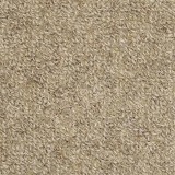 Masland CarpetsHighland